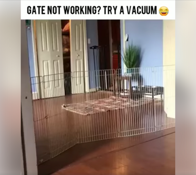 Gate Not Working?  Try a Vacuum